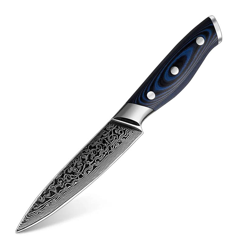 4.8 Inch 67-Layer Damascus Steel AUS-10 Kitchen Utility Paring Knife Chef Fruit Cutting Knife with Blue G10 Handle