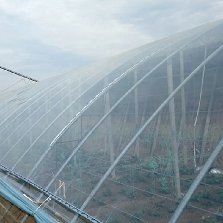 Оптовая продажа с завода пленка для теплиц арбузным покрытием