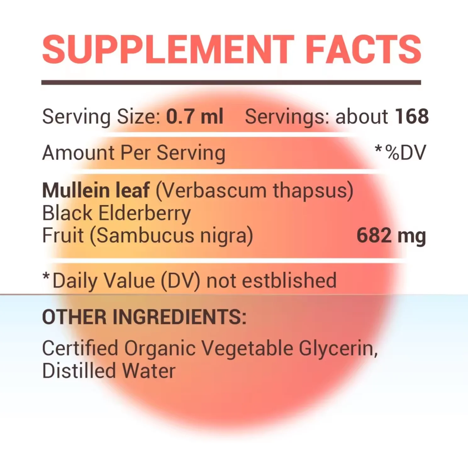 Mullein Leaf Drops with Elderberry for Lung Detox Mullein Tincture Bronchial Cleanse Respiratory Support Mullein Supplement