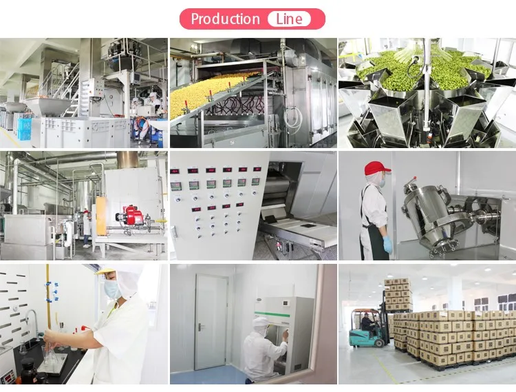 2. Production line.jpg