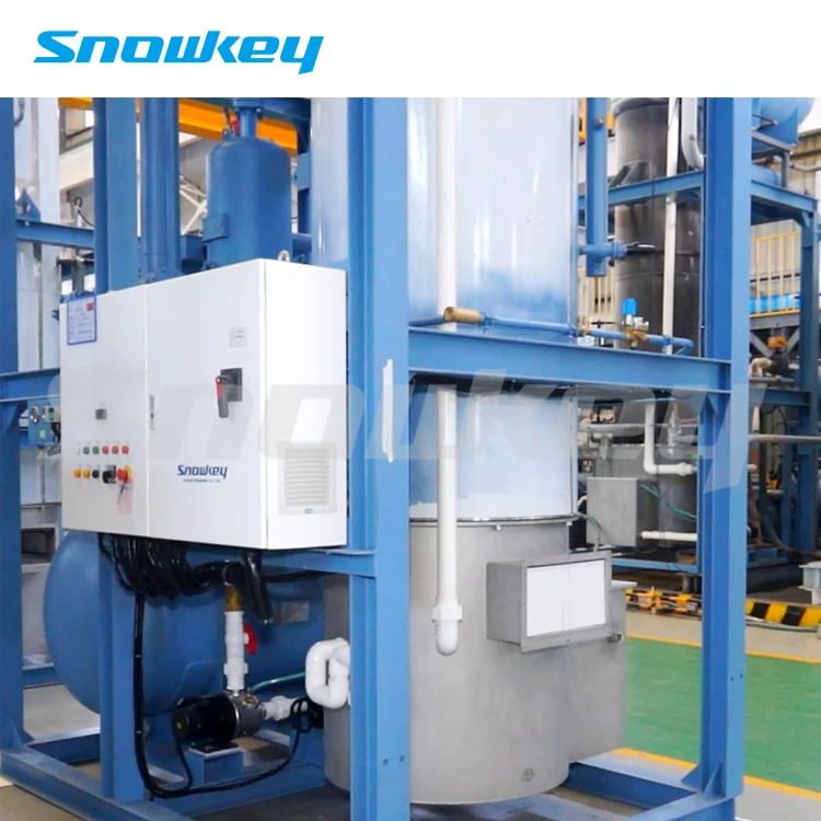
Snowkey 3 Ton Best Quality Tube Ice Machine for Malaysia 