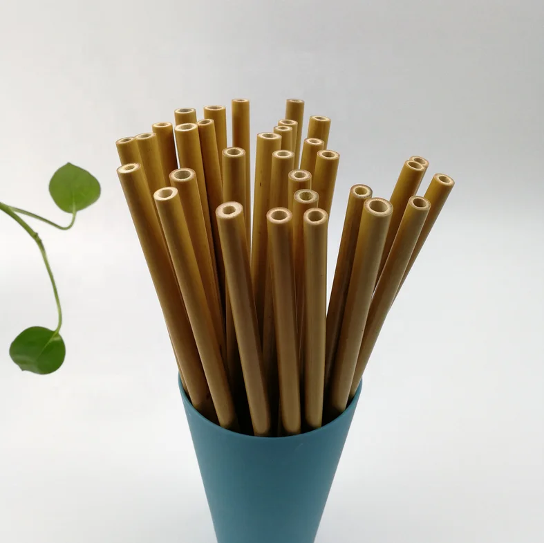 Reusable Organic Biodegradable Bamboo Straw Customized Bulk For Girls Drinking