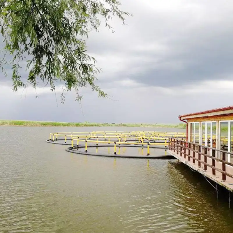 offshore fish farming cages deepwater open ocean, jaulas de cultivo de peces