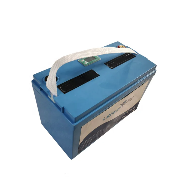  Новый перезаряжаемый BMS встроенный длительный срок службы RV lifepo4 12 в 100 Ач литий-ионные батареи глубокого цикла