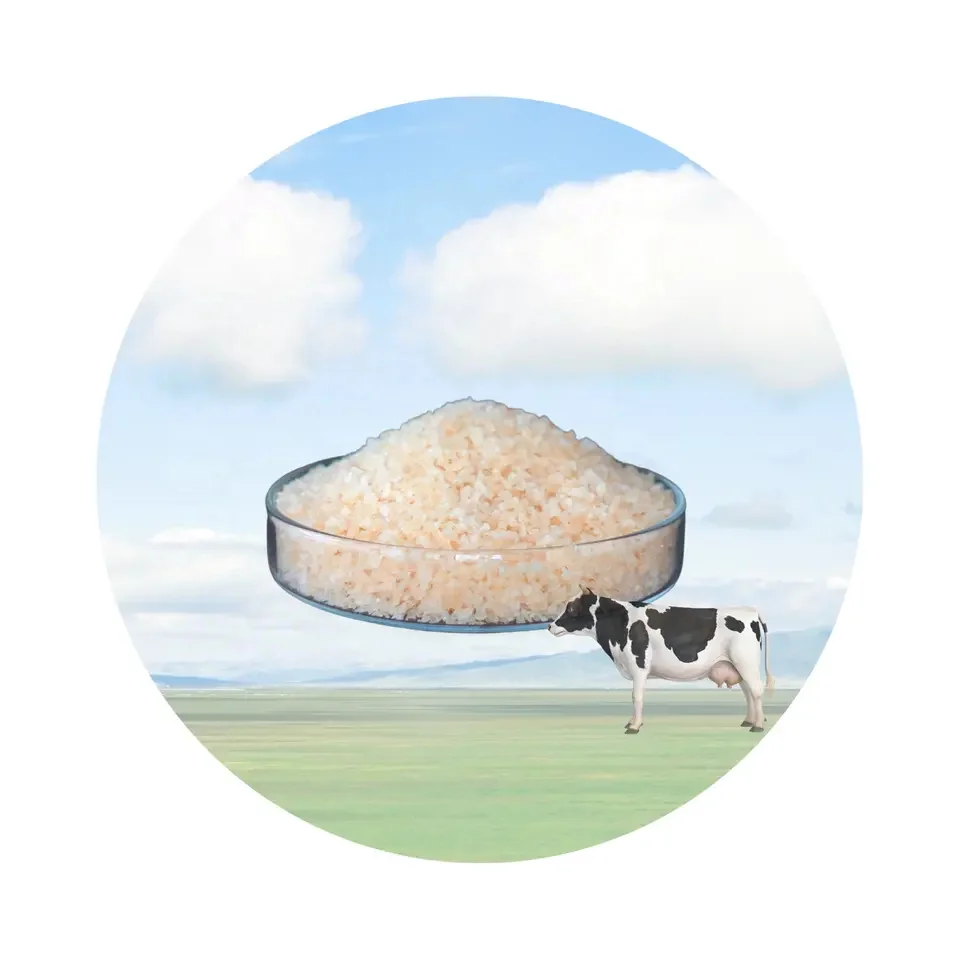 Innovy Supplier Beef Gelatin Powder Food Additives Gelatin Powder For Thickeners