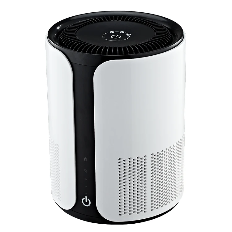 Portable Mini Air Purifier for Home with HEPA Filter & Ionizer