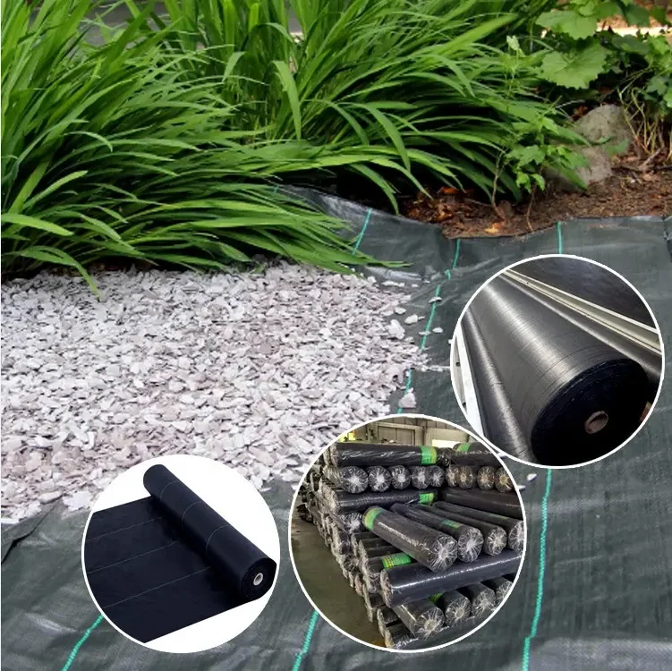 Eco-Friendly PP Spunbond Non-Woven Fabric Agricultural Plastic Ground Cover for Home & Garden Landscape