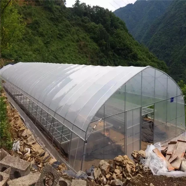 Tunnel green house manufacturers automated greenhouses suppliers turnkey from china greenhouses kit
