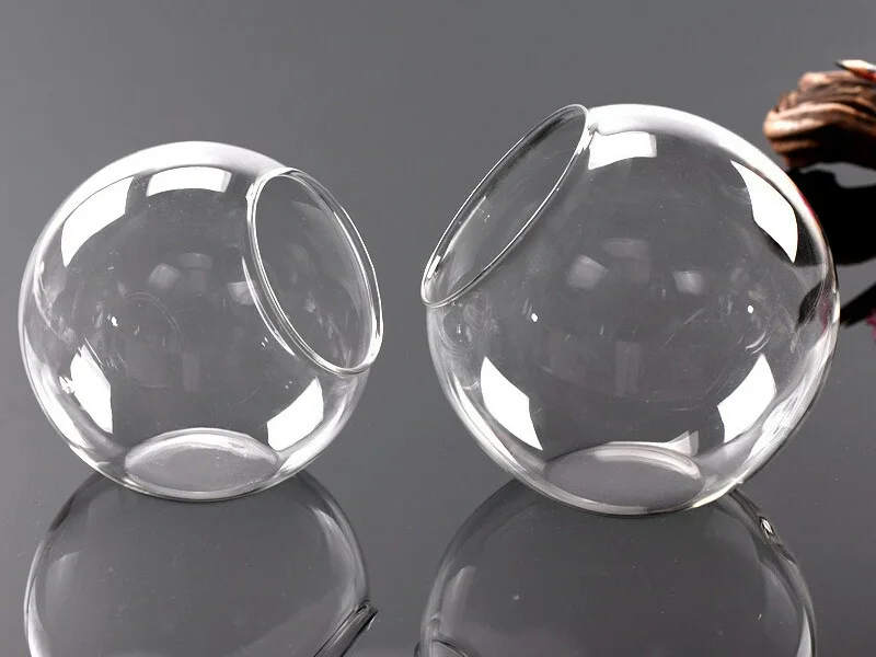 Ball Vase Flower Pots for Succulent Plant Terrarium Office Garden Decor Micro Landscape Clear Glass Modern 100% Hand Blown Glass