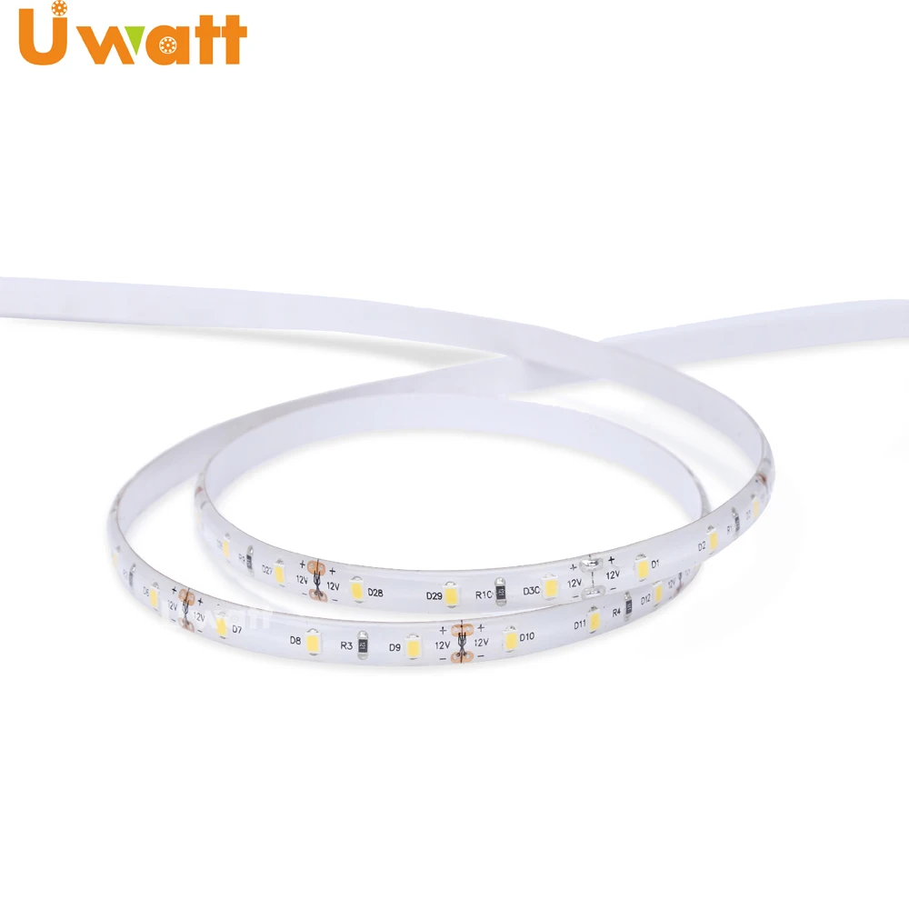 Tiras Luz de tira Bande de LED DC12V 60 LED/m 2835 IP65 LED Flexible Strip With Landscape