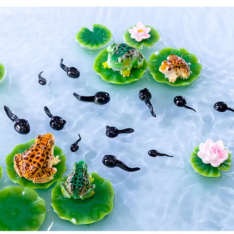 hot selling microlandscape small frog lotus tadpoles garden decoration