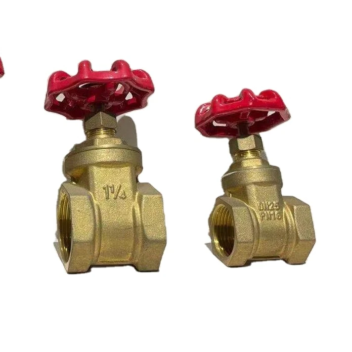 brass gate valve