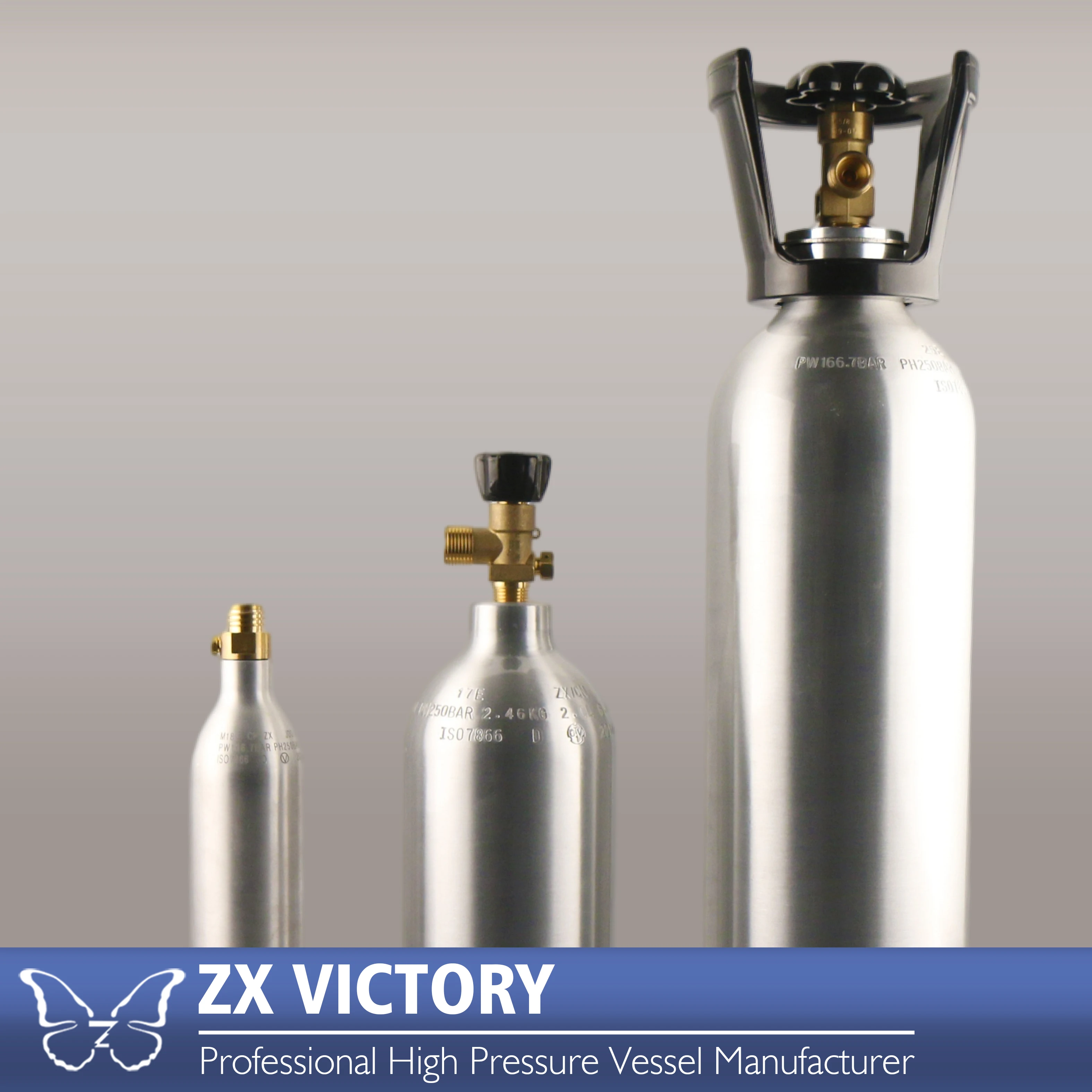ZX 1KG 2KG 4KG 5KG 10KG Factory Outlet TPED Aluminium Gas Cylinder CO2 Bottle Soda Stream CO2 Cylinder