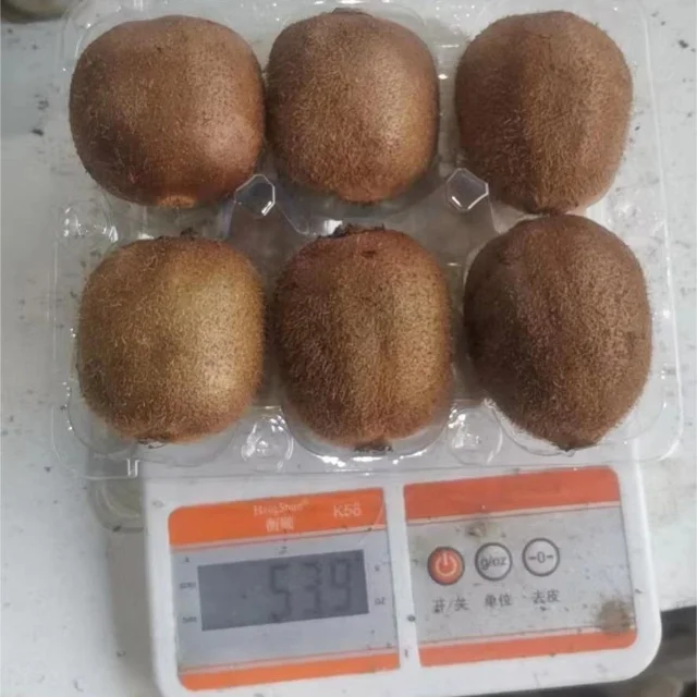 Premium Fresh Nutritious Green Kiwifruit High Quality Kiwi Fruits
