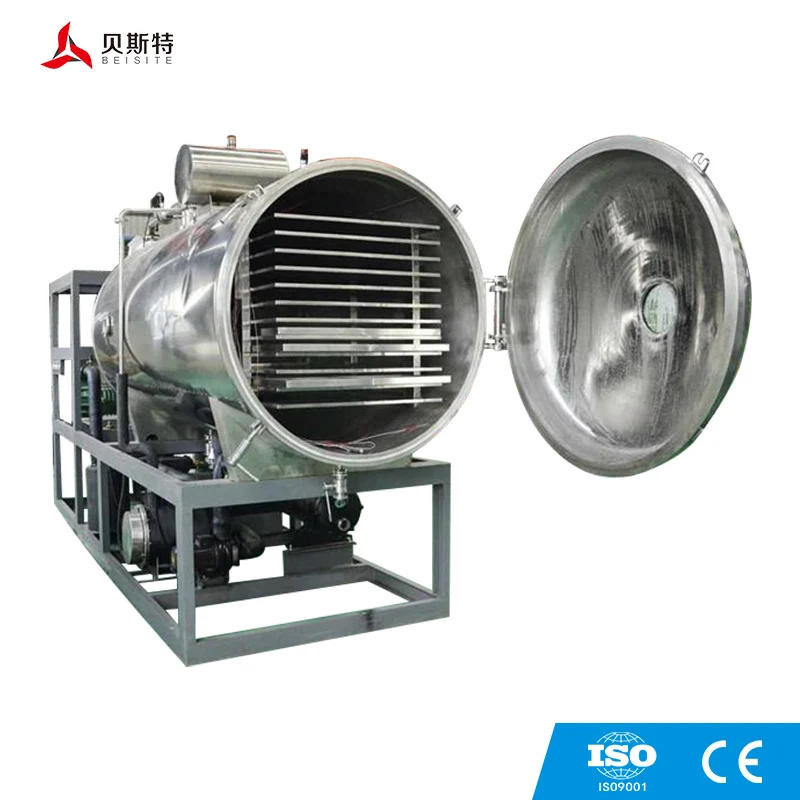 vacumn freeze dryer (2).jpg