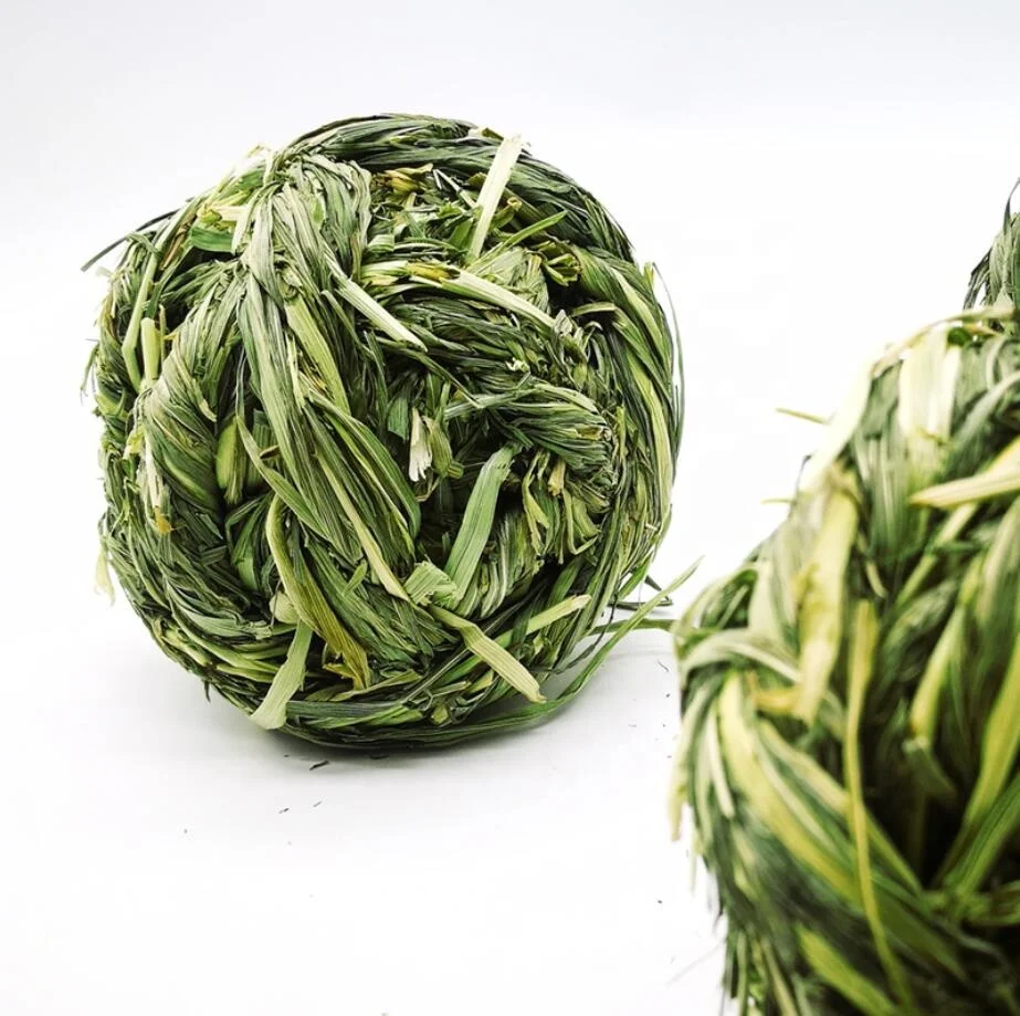 Timothy Grass Grinding Small Animal Activity Play Chew Toys for Bunny Rabbit Hamster Guinea Pigs Gerbils in Interactive