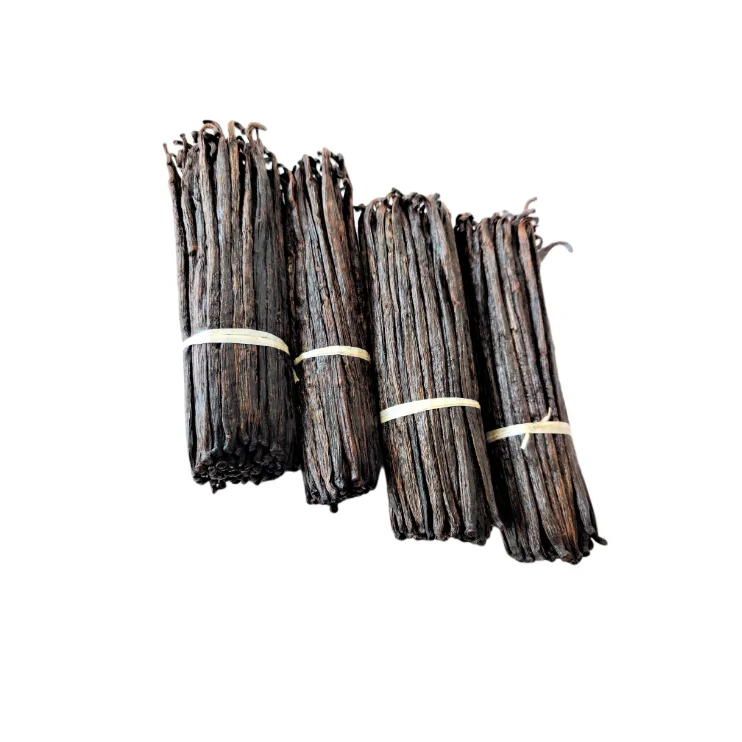 Wholesale Vanilla Plan folia Dry And Vanilla Beans Available In Bulk Quantity From India At Best Price Export From Indonesia