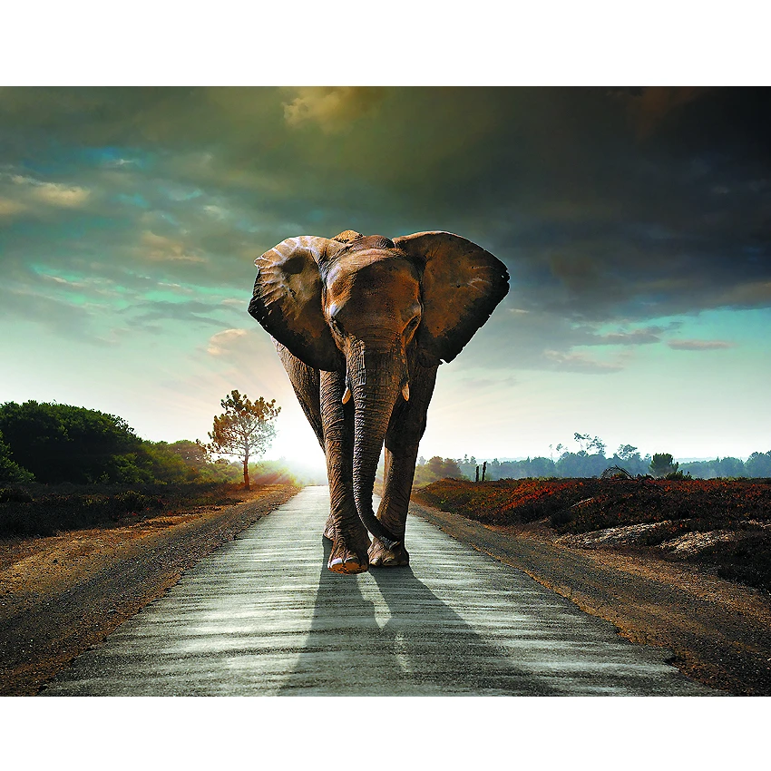 Современное Безрамное закаленное плавающее стекло