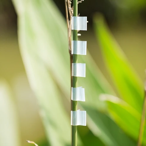 Transparent Plastic Plant Vegetable Fruit Eggplant Watermelon Tomato Gardening Grafting Clips Seedling Grafting Clip