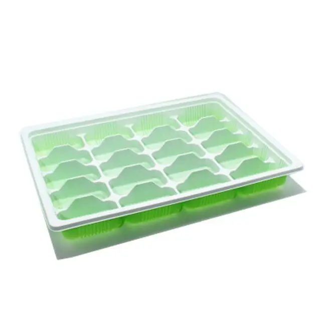 Food Grade PP Green\Orange Disposable Plastic Dumpling Packaging Tray Dumpling Clear Plastic Box