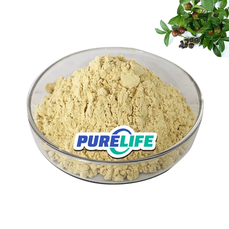 Wholesale Food Top Grade Free Sample Camellia Sinensis Extract  Tea Seed Tea Saponin Powder Tea Saponin
