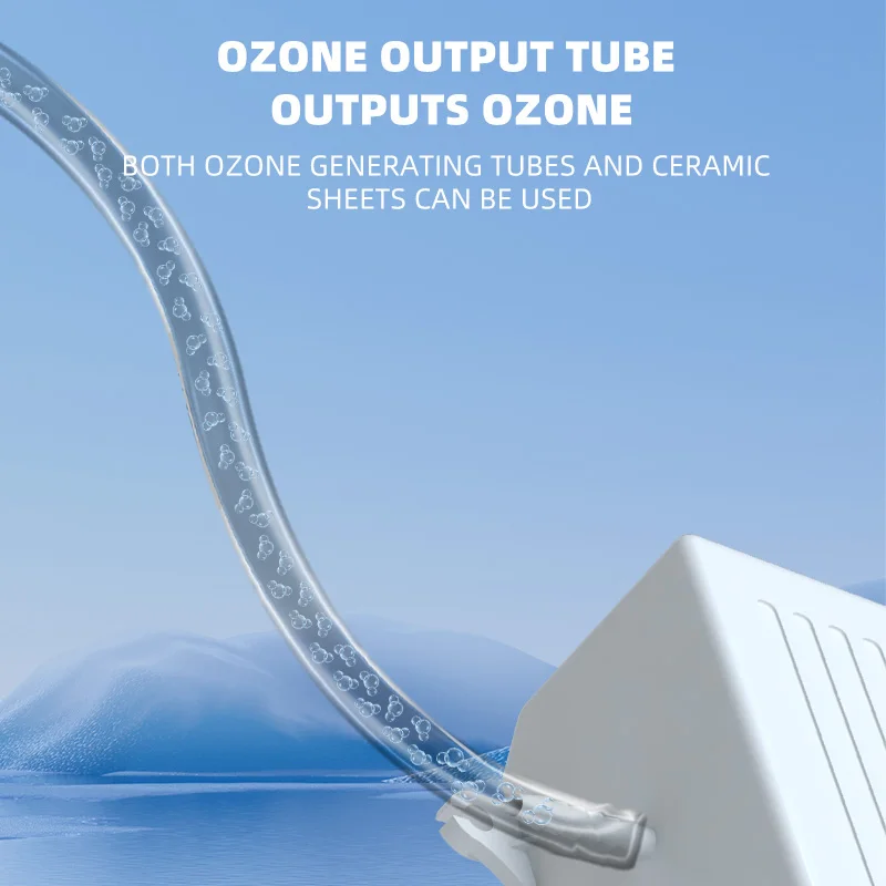 TCB-115 300mg/h Fruit Vegetable Mini Ozone Generator for Water Treatment Portable SPA Generator Ozone Electric Ce ABS 280g