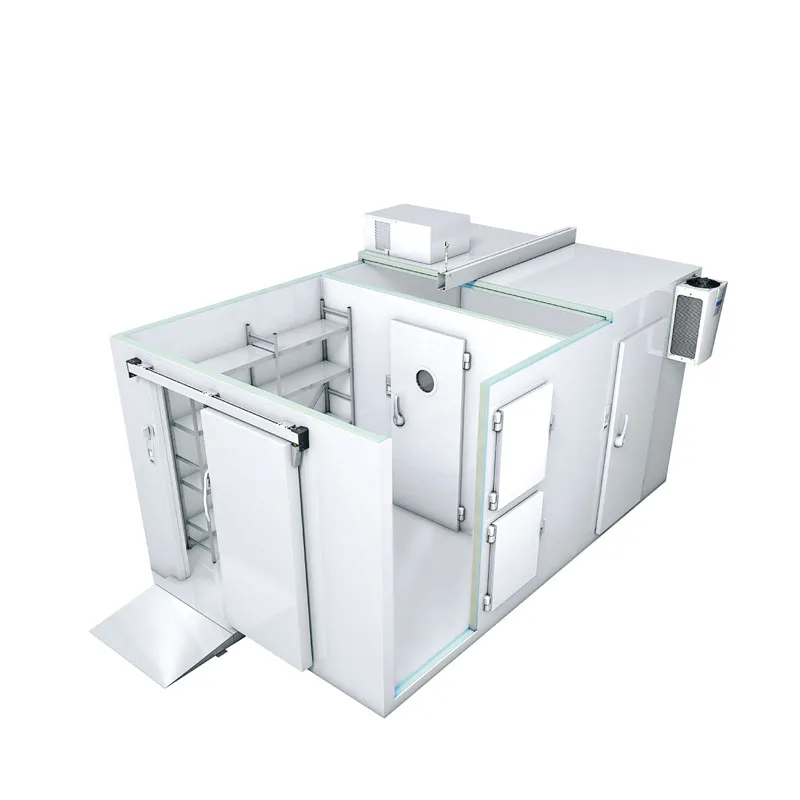 new design solar cool room for onion and tomatoes cold storage room