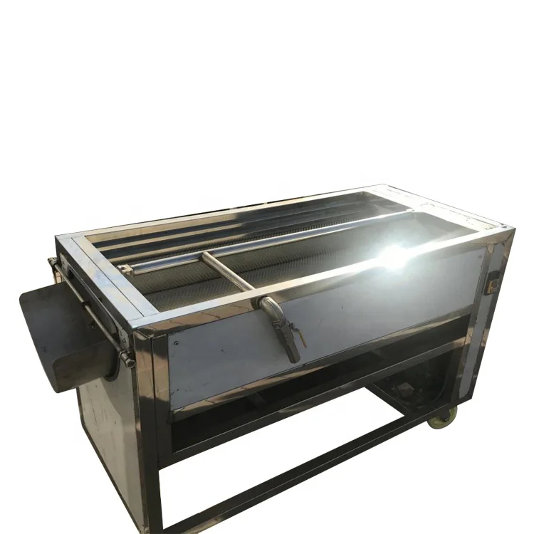 Automatic potato ginger brush washing peeling cleaning machine