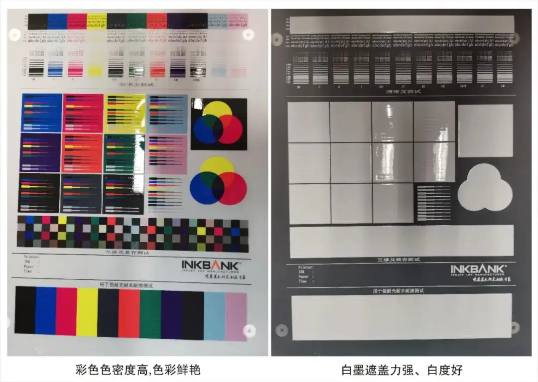 INKBANK Factory direct  sustainable DTF pigment ink for textil customization T-Shirt Printing