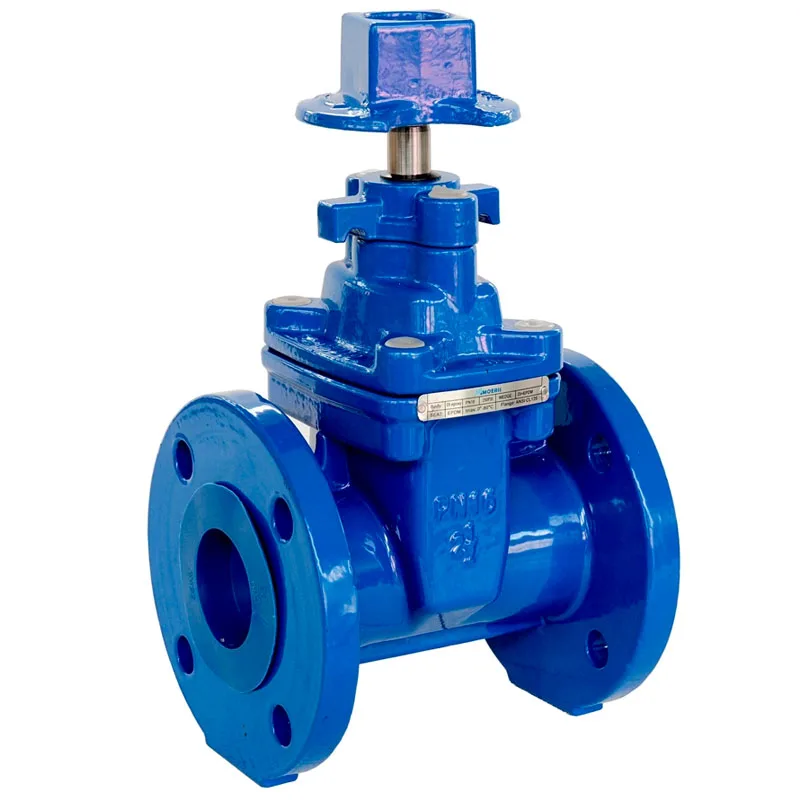 Ductile Iron Flanged NRS Resilient Wedge Gate Valve