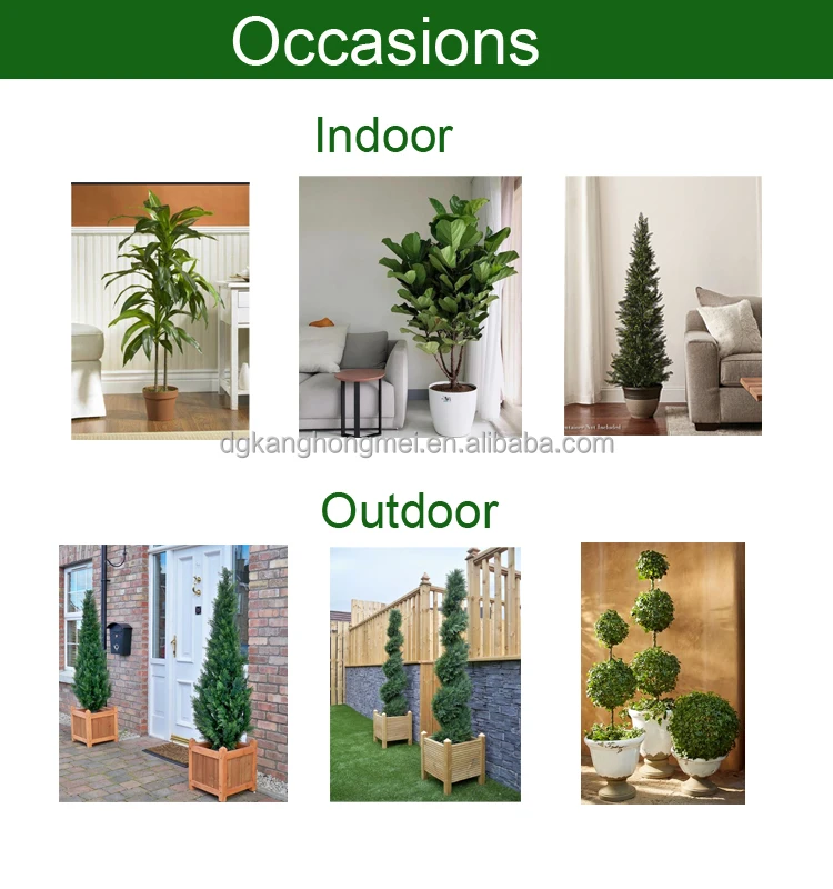 Occasions