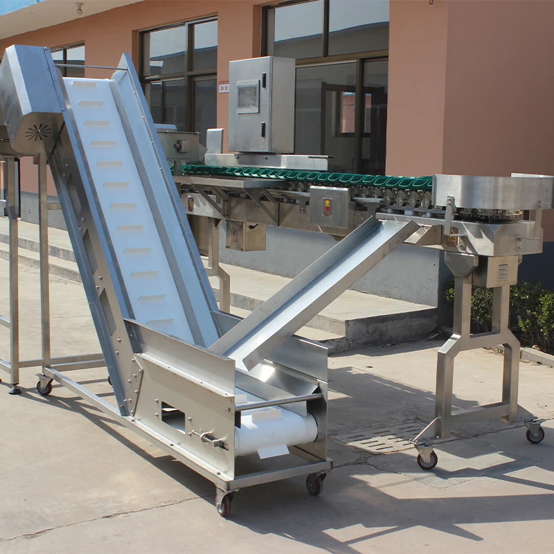 Fish Weight Grading Belt Type Seafood Sorting Machine