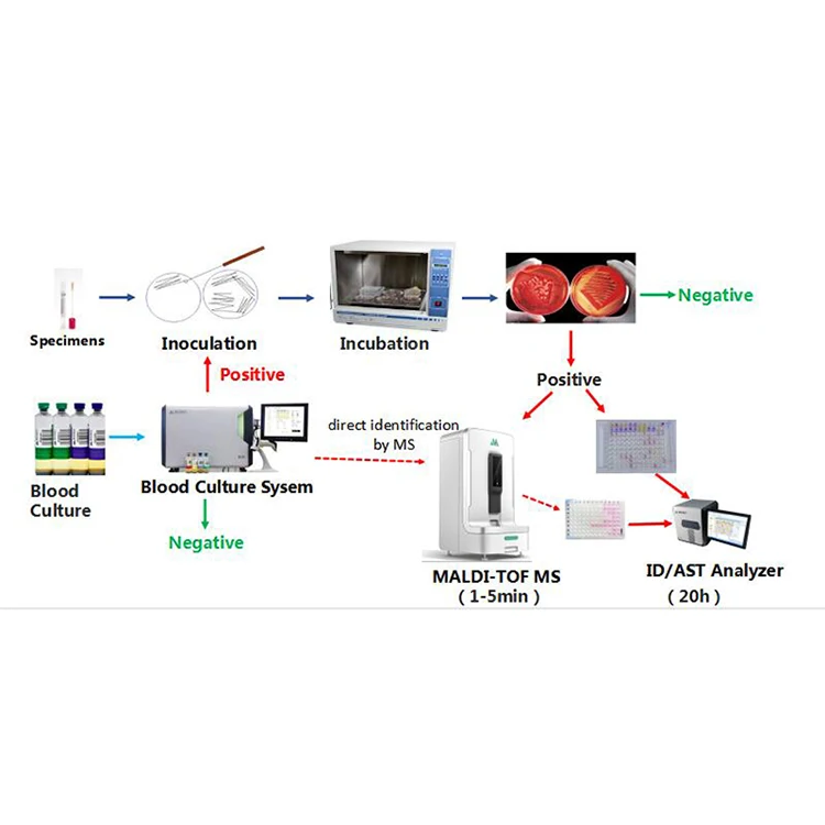 China Manufacturers Microbiology Laboratory Equipment Id/ast Analysis System