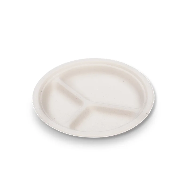 Eco-friendly Biodegradable Compostable Sugar Cane Plate Sugarcane Pulp Bagasse Plate Tableware