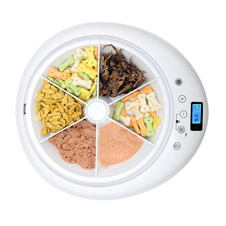 
Six Parts product water dog food dispenser smart pet automatic feeder 