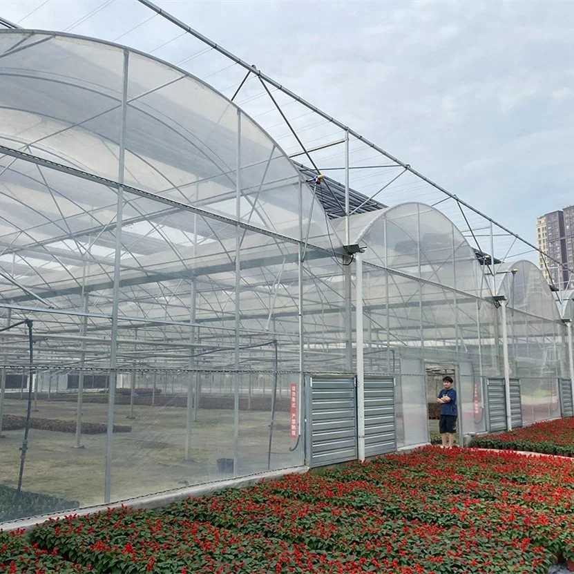 Vertical Farming  Automatic Hydroponics Plastic Film Multi-span Greenhouse With Indoor Hydroponics System