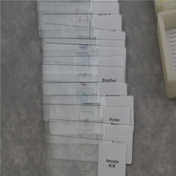 
Biology human pathology teaching diagnosis microscope slides used water park slides for college students learning 