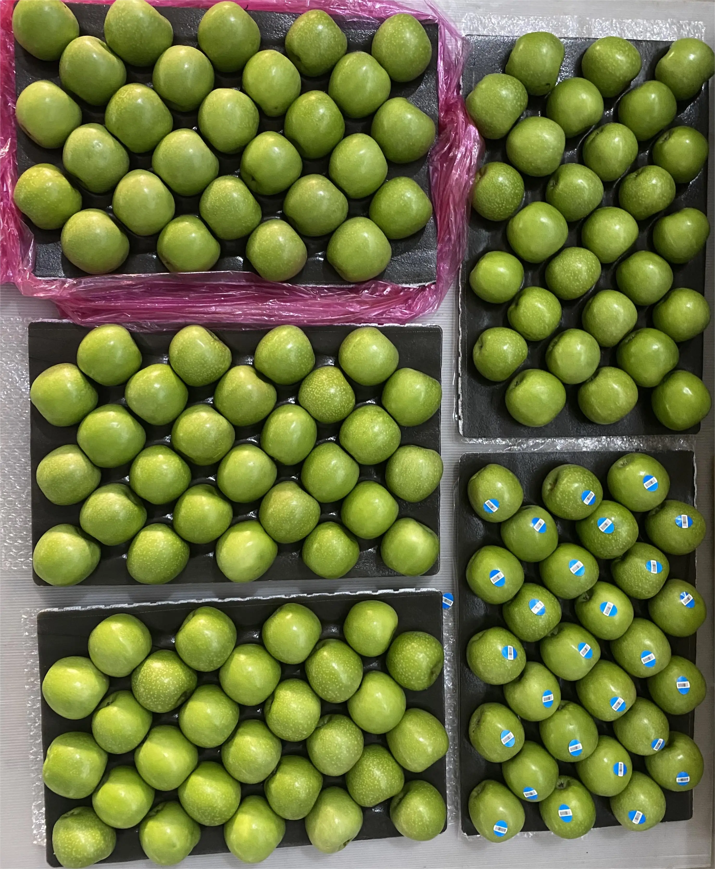 Fuji APPLE