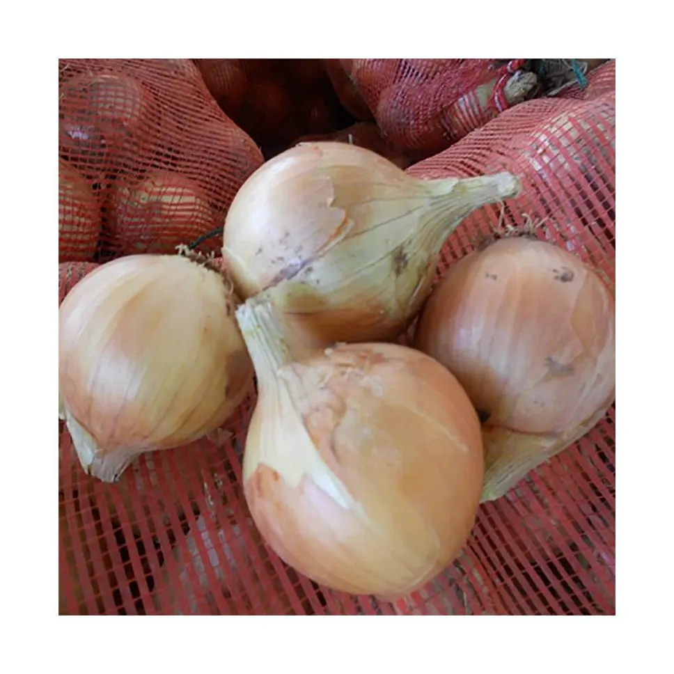 Custom High Quality Organic Healthy Pricelist Export Chinese Onion
