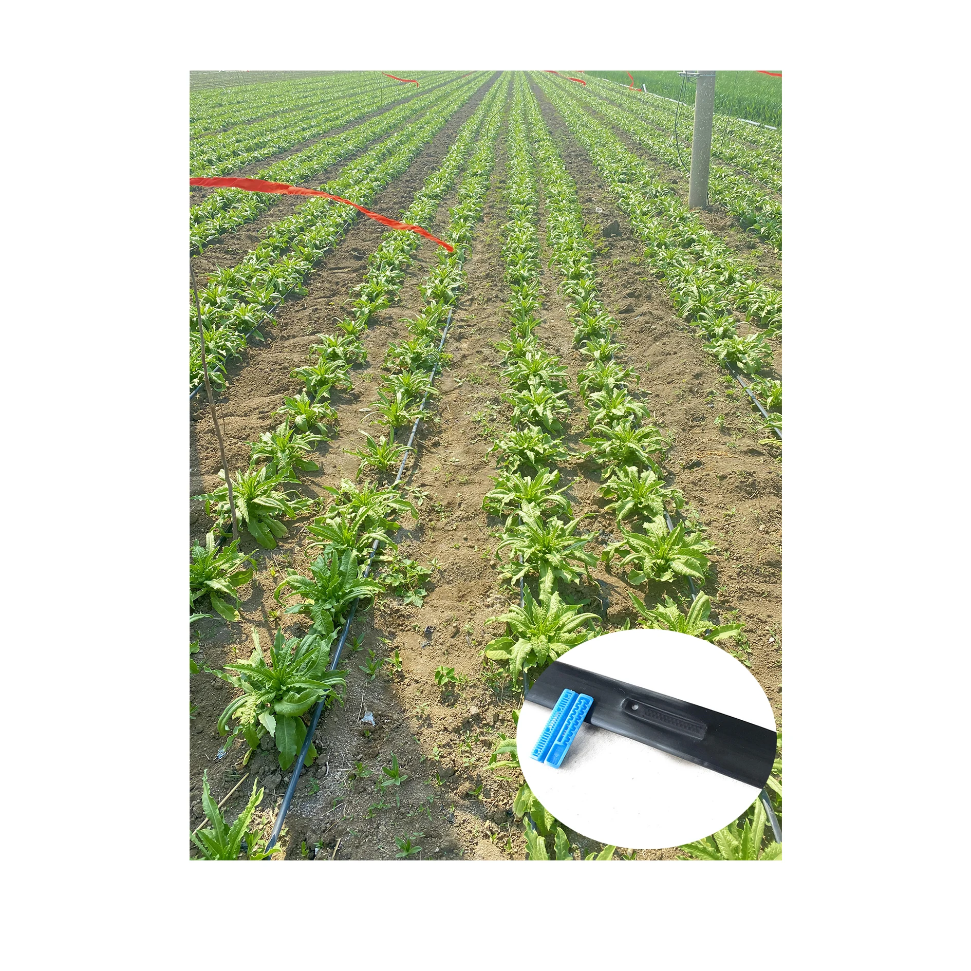 Watering & Irrigation  Inline flat dripper drip irrigation tape customized