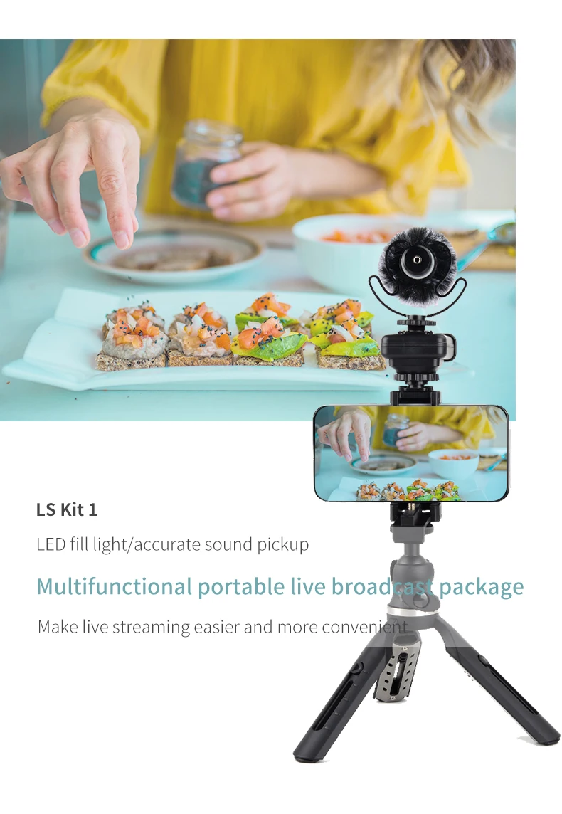 Portable Broadcast Equipment Vlog Device Stabilizer Phone Mount with LED Light and Microphone