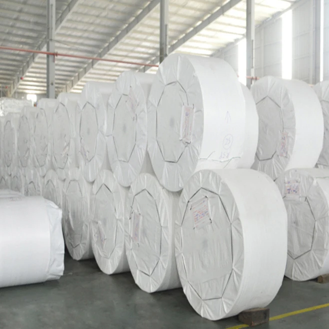 High Tensile Strength Polypropylene PP Woven Fabric Roll