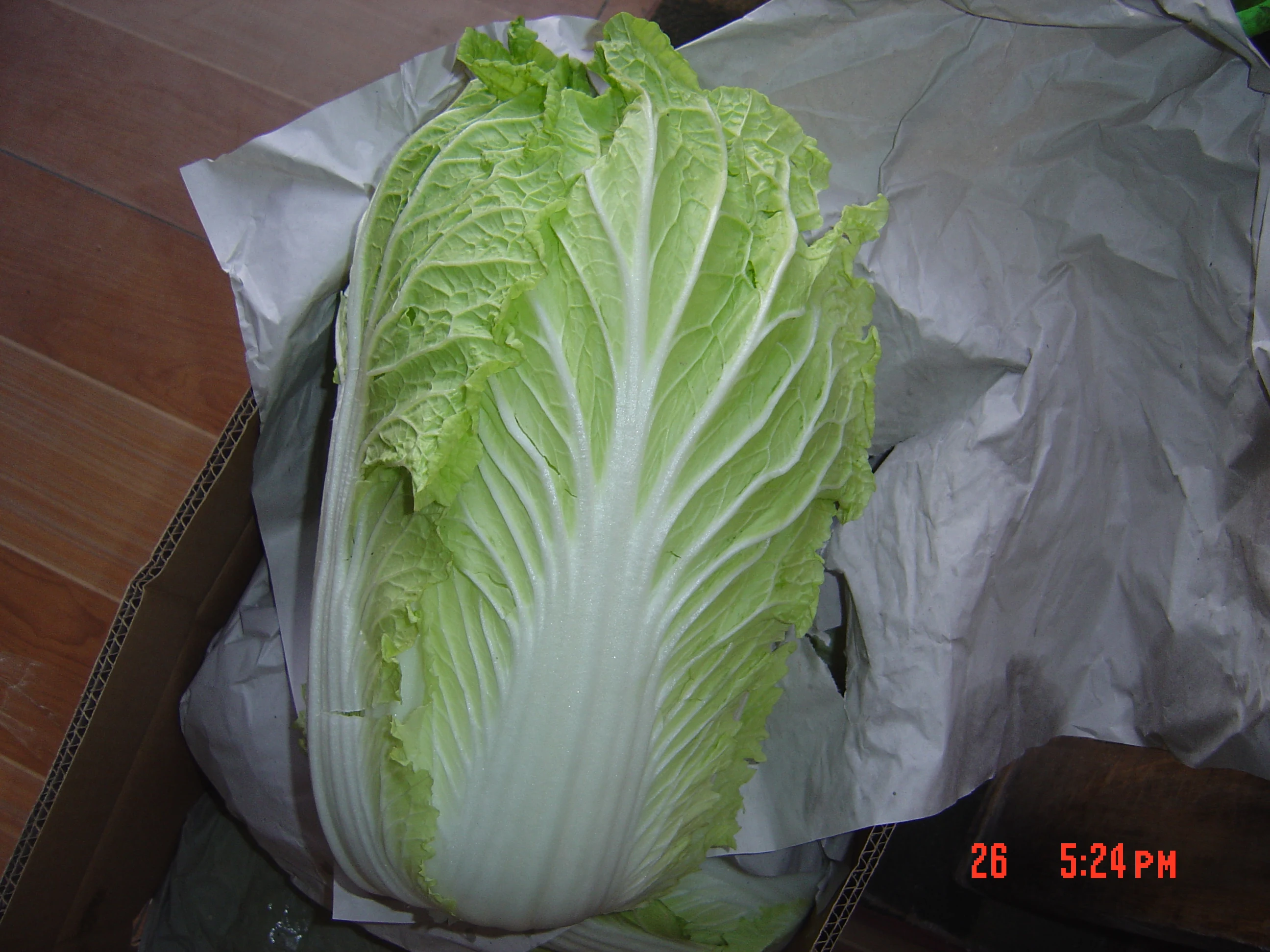 
chinese long cabbage 