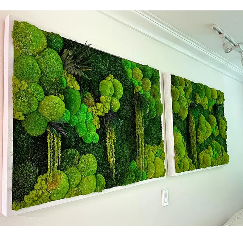 frames picture wall art other preserved moss modern 3d wall art home decor wall arts