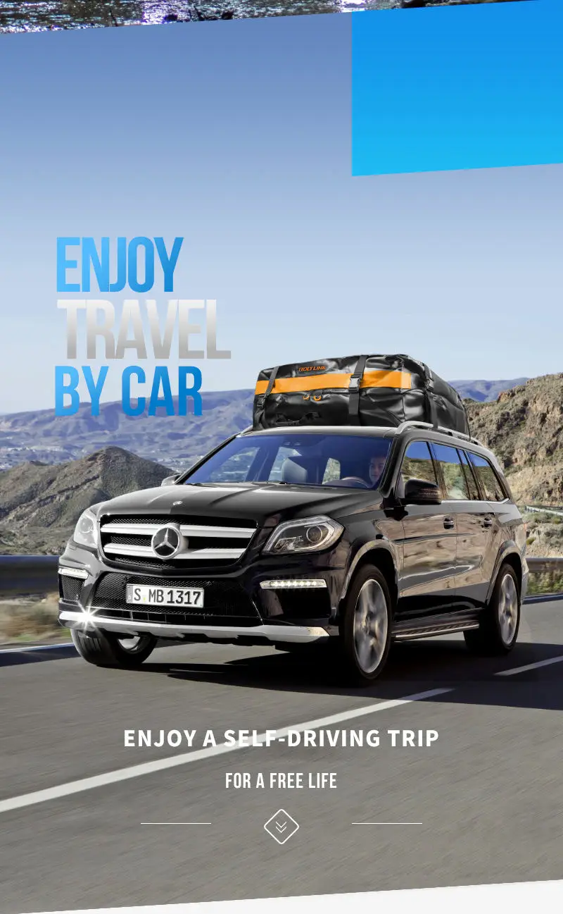Car Roof Bag 14.jpg