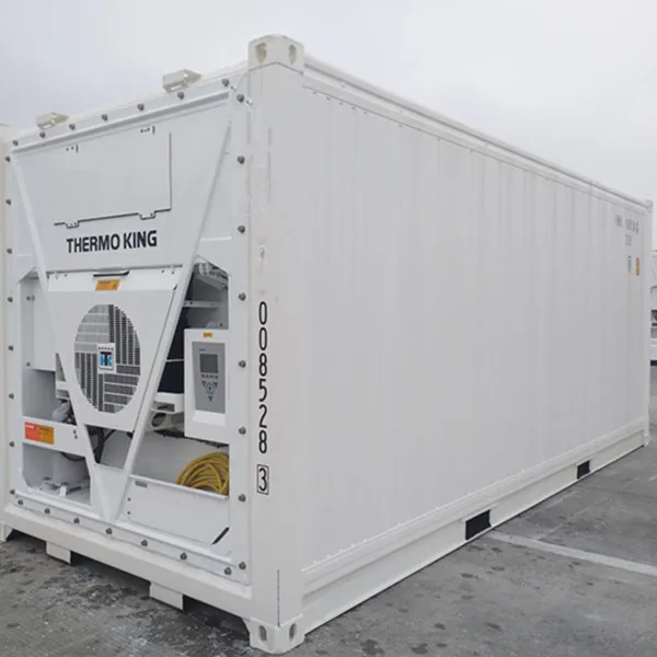 ISO Standard CSC Certified ThermoKing Refrigerated Container 20 Feet Length 20ft Reefer Container Price for Sale