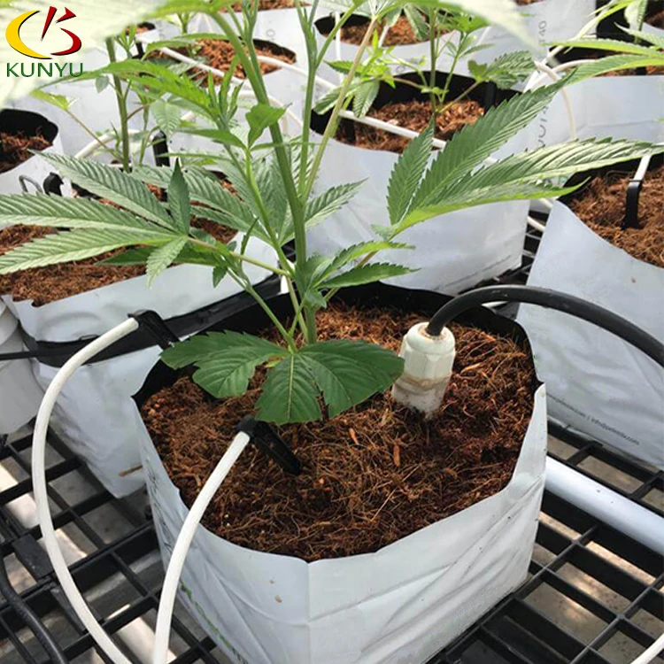 Hemp Growing Greenhouse Commercial Farming Blackout Green House For Sale