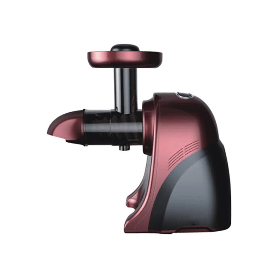 New Products Multifunctional Horizontal Fruit Slow Juicer Fast Delivery on Sale