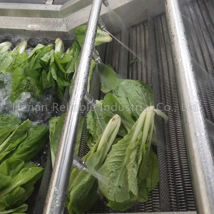 air bubble washing machine used for vegetable fruit cleaning  lime chicken washing cleaning machine frozen food machine