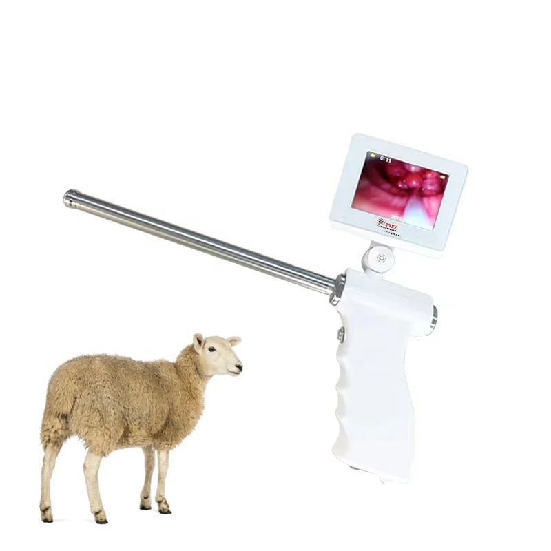 Сельскохозяйственное ветеринарное оборудование, инструмент для визуального разведения овец коз, искусственный осеменение